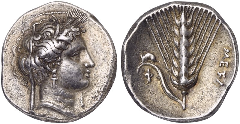Lucania, Metapontion, Didrachm, ca. 340-330 BC
AR (g 7,94; mm 22; h 11)
Veiled...