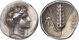 Lucania, Metapontion, Didrachm, ca. 340-330 BC
AR (g 7,94; mm 22; h 11)
Veiled head of Demeter r., wearing wreath of grain, earrings and necklace; b...