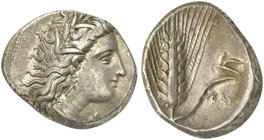 Lucania, Metapontion, Stater, ca. 330-290 BC
AR (g 7,89; mm 22; h 3)
Head of Demeter r., wearing barley wreath, earrings and necklace, Rv. META, bar...