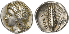 Lucania, Metapontion, Stater, c. 325-280 BC
AR (g 7,90; mm 20; h 3)
Head of Demeter l., wearing wreath of grain, Rv. META, barley-ear with leaf to r...