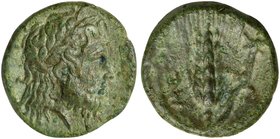 Lucania, Metapontion, Bronze, ca. 350-250 BC
AE (g 2,33; mm 14,5; h 6)
Laureate head of Zeus r., Rv. META, barley ear; on r., cross-torch. HNItaly 1...