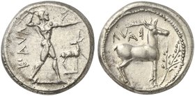 Bruttium, Caulonia, Stater, ca. 474-425 BC
AR (g 8,20; mm 22; h 12)
KAVΛ, Apollo standing r., holding branch and small figure running; on r., stag, ...