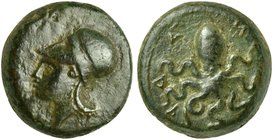 Sicily, Adranon, Bronze, ca. 339-317 BC
AE (g 3,17; mm 14; h 6)
Head of Athena l., wearing Corinthian helmet, Rv. Α - Δ - Ρ - Α - Ν - Ω - Ν, octopus...