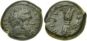 Sicily, Agyrion, Hemidrachm struck under Timoleon's Symmachy, ca. 344-338 BC
AE (g 12,38; mm 23,5; h 8)
ZEYΣ EΛ - EY - ΘEPIOΣ, laureate head of Zeus...
