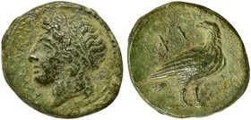 Sicily, Akragas, Bronze struck under Phintias, ca. 287-279 BC
AE (g 2,60; mm 15; h 3)
ΑΚΡΑΓΑΝΤΙΝΩΝ, laureate head of Apollo l., Rv. eagle standing r...