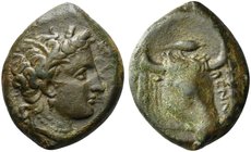 Sicily, Enna, Hemilitron, ca. 339-335 BC
AE (g 10,65; mm 25; h 12)
Wreathed head of Demeter r., Rv. head of bull facing slightly r., fillets hanging...