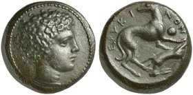 Sicily, Eryx, Onkia, ca. 412-409 BC
AE (g 2,55; mm 13; h 9)
Bare male head r., Rv. EPYKI - NON, hound standing r., head l.; on. r., pellet; below, i...
