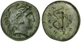 Sicily, Herakleia Minoa, Bronze, 4th century BC
AE (g 4,35; mm 17; h 2)
Head of Herakles r., wearing lion skin, Rv. HEPAKΛΕΙΩΝ, bow and quiver. Camp...