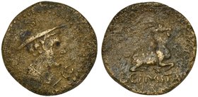 Sicily, Himera - Thermai Himeraiai, Bronze, 3rd century BC
AE (g 3,48; mm 18; h 6)
Head of Hermes r.; before, caduceus, Rv. Goat Kneeling r.; in ex....