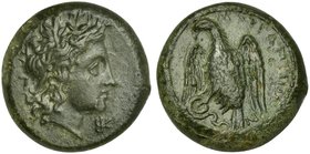 Sicily, Morgantina, Hemilitron, ca. 339-317 BC
AE (g 7,08; mm 20; h 5)
Wreathed head of Sikelia r.; behind, Γ (retrograde); before, monogram, Rv. ΜΟ...