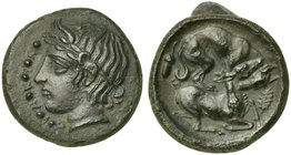 Sicily, Piakos, Hemilitron, ca. 420-400 BC
AE (g 4,39; mm 18; h 12)
Π - I - A - K - I - N, laureate head of horned river-god; on l., six pellets, Rv...