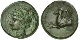 Sicily, Syracuse, Hemilitron struck under Timoleon and the Third Democracy, ca. 344-317 BC
AE (g 4,67; mm 18; h 2)
ΣYPAKOΣIΩN, head of Arethusa or P...