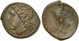 Sicily, Syracuse, Litra struck under Hicetas, ca. 288-279 BC
AE (g 7,67; mm 24; h 1)
ΔIOΣ EΛΛANIOY, laureate head of young Zeus Hellanios l., Rv. ΣY...