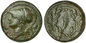 Sicily, Syracuse, Hemilitron struck under Pyrrhus, ca. 278-276 BC
AE (g 6,61; mm 19; h 11)
Head of Athena l., wearing Attic crested helmet; behind, ...