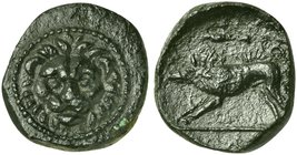 Sicily, Uncertain Mint, Bronze, 3rd century BC
AE (g 1,33; mm 12; h 11)
Facing lion head, Rv. boar l.; above, club. A second specimen in the David F...