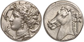 The Carthaginians in the Mediterranean, Sicily, Uncertain mint, Tetradrachm, ca. 320-300 BC
AR (g 16,54; mm 25; h 11)
Head of Tanit (Kore-Persephone...