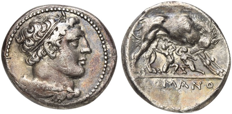 Anonymous, Didrachm, Neapolis (?), after 276 BC
AR (g 6,93; mm 21; h 10)
Head ...