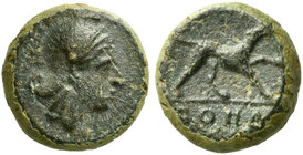 Anonymous, Half Litra, Rome, ca. 234-231 BC
AE (g 1,65; mm 10; h 11)
Head of Roma r., wearing Phrygian helmet, Rv. Dog r.; in ex. ROMA. Crawford 26/...