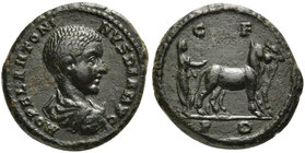 Diadumenian (218), Bronze, Thrace: Deultum, AD 218
AE (4,81; mm 19; h 6)
M OPEL ANTONI - NVS DIADV C, draped bust r., Rv. C F P D, priest or colonis...