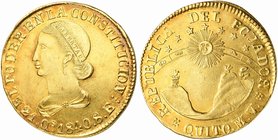 Ecuador, Quito, Republic, 8 Escudos, 1840
AV (g 26,95; mm 35; h 12)
Fr. 3; KM 23.1.
Extremely rare. An admirable and wholly original piece with a p...