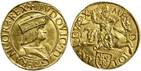 Italy, Milano, Louis XII, King of France and Duke of Milan, Doppio Ducato, 1500-1512
AV (g 7,00; mm 26; h 2)
LVDOVIC D G FRANCOR REX, bust r., in so...