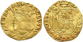 Italy, Napoli, Charles V of Spain, Ducato, 1516-1556
AV (g 3,49; mm 22; h 3)
CAROLVS ROMANOR REX, crowned and draped bust l., Rv. R ARAGO VTRIVSQ SI...