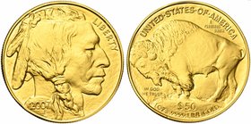 United States of America, 50 Dollars, Philadelphia, 2007
AV (g 31, 13; mm 32; h 6)
Fr. B 20.
Good extremely fine.