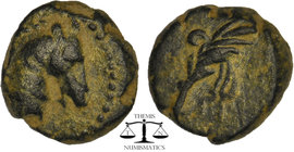 PONTOS. Uncertain. Ae (Circa 130-100 BC). Obv: Head of horse right. Rev: Filleted palm frond. Cf. SNG BM Black Sea 984; cf. HGC 7, 317; CNG E-407, lot...