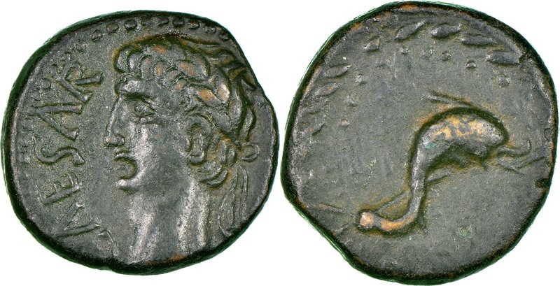 PHOENICIA. Berytus. Augustus (27 BC-AD 14). AE (13mm, 2.93 gm, 2h). NGC Choice X...