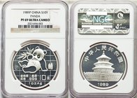 People's Republic silver Proof Panda 10 Yuan 1989-P PR69 Ultra Cameo NGC, KM-A221.

HID09801242017
