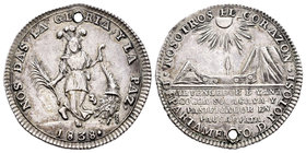 Fernando VII (1808-1833). Medalla. 1818. Potosí. (B14B1). Ag. 6,65 g. Leyenda en el canto: EN TI DEPOSITAMOS LA SUERTE DE BOLIVIA. Agujero. EBC-. Est....