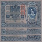 Austria, 1000 Kronen, 1920, UNC, p48, (Total 3 banknotes)
serial number: 1706
Estimate: $ 250-500