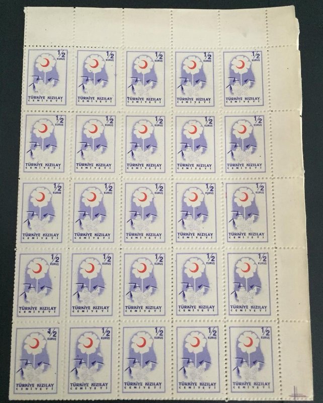 Turkey, Türkiye Kızılay Cemiyeti, UNC
in 1 block of 100 stamps
Estimate: $ 5-1...