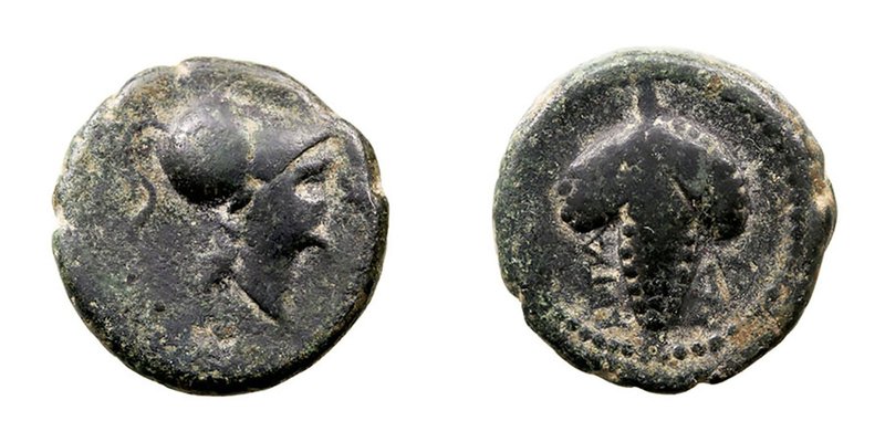 Apulia. AE-15. Arpi. (215-212 A.C.). A/Cabeza de Atenea con casco a der. R/Racim...