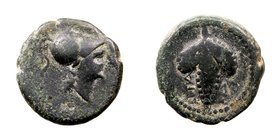 Apulia. AE-15. Arpi. (215-212 A.C.). A/Cabeza de Atenea con casco a der. R/Racimo de uvas. 3.34g. SNG. Cop. 646. Pátina verde. MBC-.