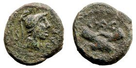 Lucania. Semis. AE. Paestum. (90-44 a.C.). A/Cabeza con casco a der., delante ley. y detrás S. 3.92g. CRA.32. Pátina verde. MBC.