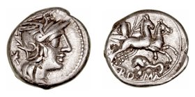 Caecilia. Denario. AR. Roma. (128 a.C.). A/Cabeza de Roma a der., detrás X. R/La Piedad con rama y cetro en biga a der., debajo elefante y en exergo R...