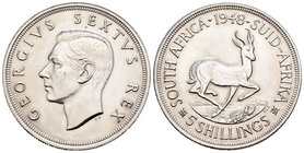Sudáfrica. Jorge VI. 5 shillings. 1948. (Km-40.01). Ag. 28,26 g. SC-. Est...60,00.