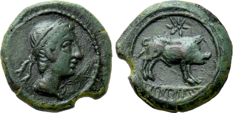 HISPANIA. Castulo. Ae (2rd - 1st century BC). 

Obv: Male head right with diad...