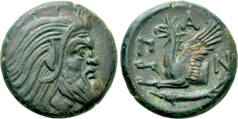 CIMMERIAN BOSPOROS. Pantikapaion. Ae (Circa 310-304/3 BC). 

Obv: Bearded head...