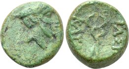 KINGS OF THRACE (Celtic). Kingdom of Tylis. Kavaros (Circa 260 or 240/30-218/13 BC). Ae. Uncertain mint in central Thrace.