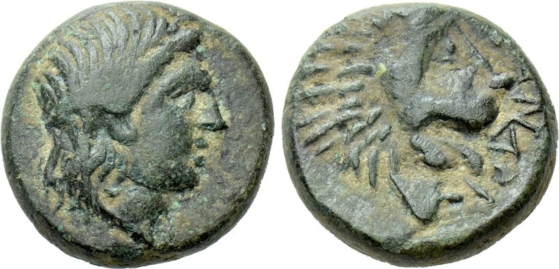 TROAS. Antandros. Ae (4th-3rd centuries BC). 

Obv: Laureate head of Apollo ri...