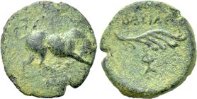KINGS OF CILICIA. Philopator I (Circa 20 BC - 17 AD). Ae.