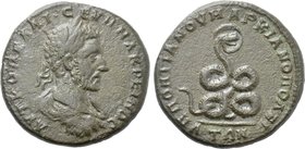 MOESIA INFERIOR. Marcianopolis. Macrinus (217-218). Ae. Pontianus, legatus consularis.