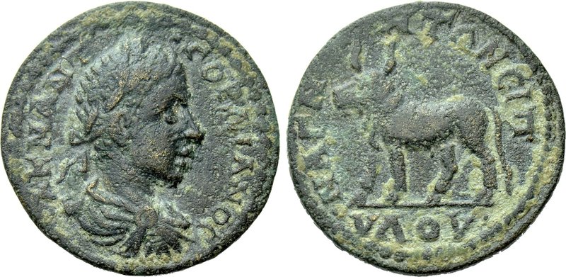 LYDIA. Magnesia ad Sipylum. Gordian III (238-244). Ae. 

Obv: Α Κ Μ ΑΝΤ ΓΟΡΔΙΑ...