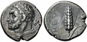 GREEK COINS 
 LUCANIA 
 Metapontum. Circa 290-280 BC. Didrachm or nomos (Silver, 18mm, 7.96 g 3). Diademed head of bearded Herakles to left, club be...
