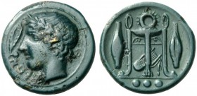 GREEK COINS 
 SICILY 
 Leontinoi. Circa 405 BC. Tetras (Bronze, 14mm, 2.00 g 2). ΛΕΟΝ Laureate head of Apollo to left; to left before, laurel leaf. ...