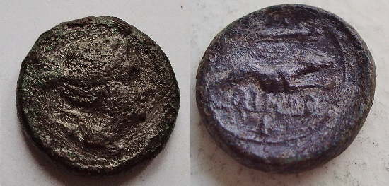 SAMNIUM, Larinum (210-175 a.C.) AE Semioncia 2,98g. Obv. Diana's head turned to ...