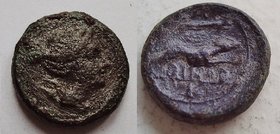 SAMNIUM, Larinum (210-175 a.C.) AE Semioncia 2,98g. Obv. Diana's head turned to the right Rev. Greyhound running to the right, above the club, in exer...