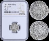 POLAND (LITHUANIA): 1/2 Grosz (1556) in silver. Inside slab by NGC "AU 53". (Kop# 3248).